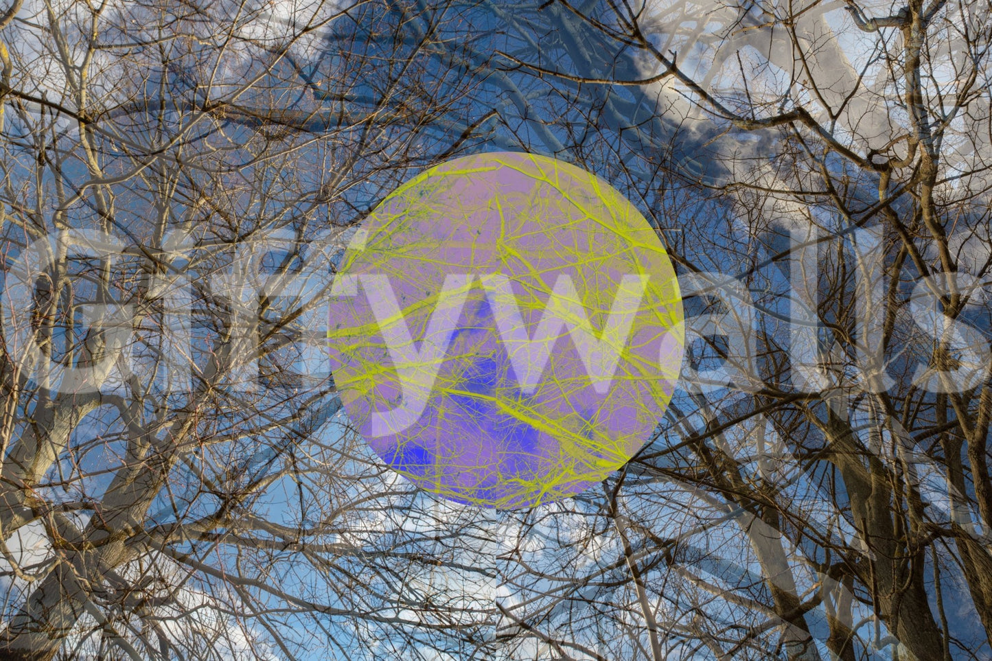 Artistic wall mural for home decor