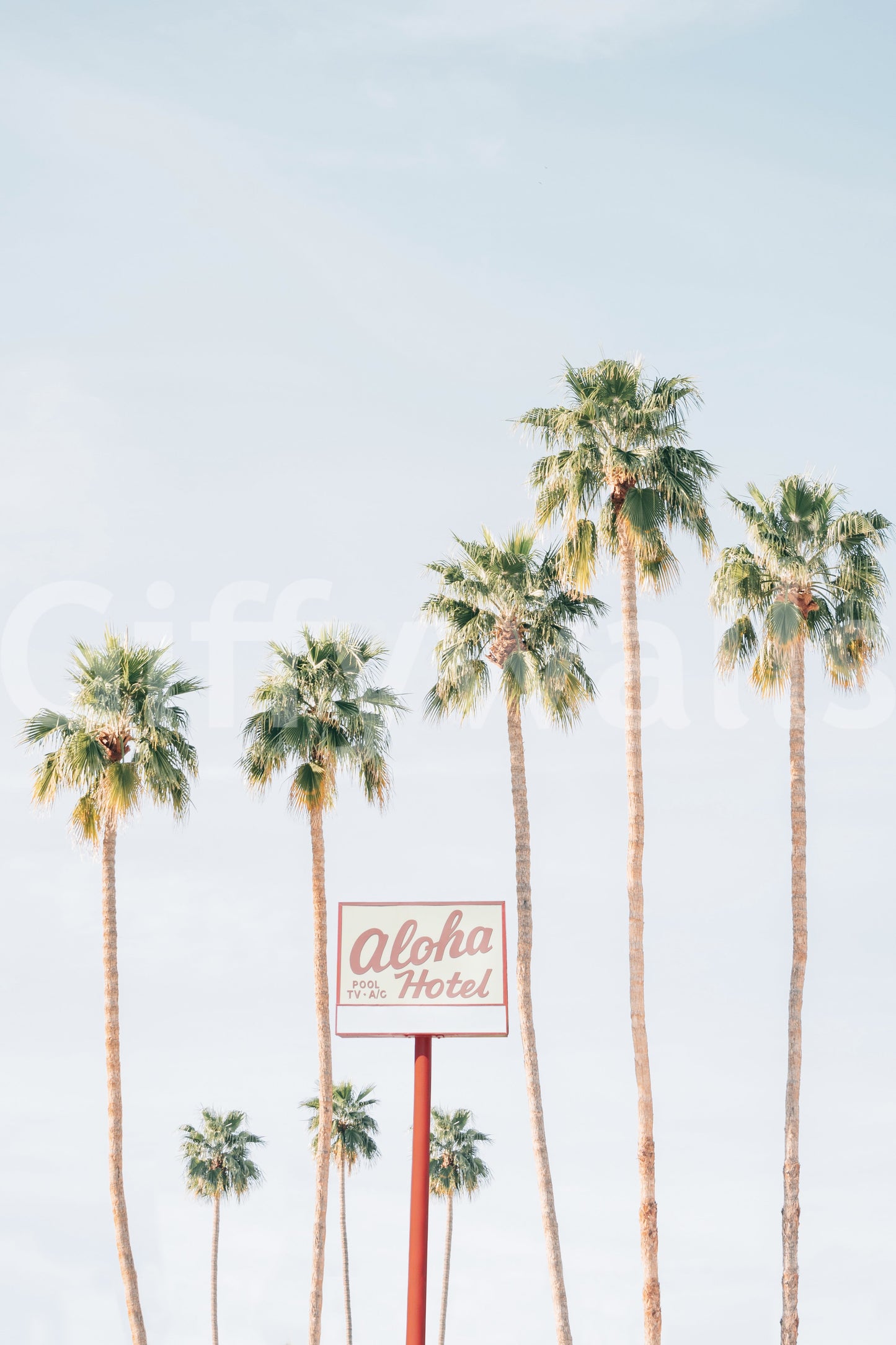 Aloha hotel vægmaleri