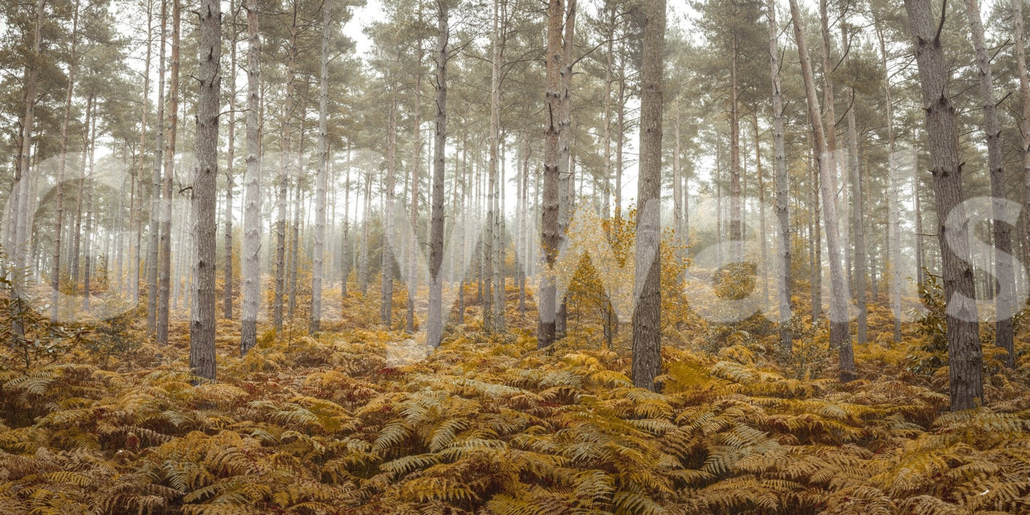 The wallpaper has a smooth, non-reflective matte finish.