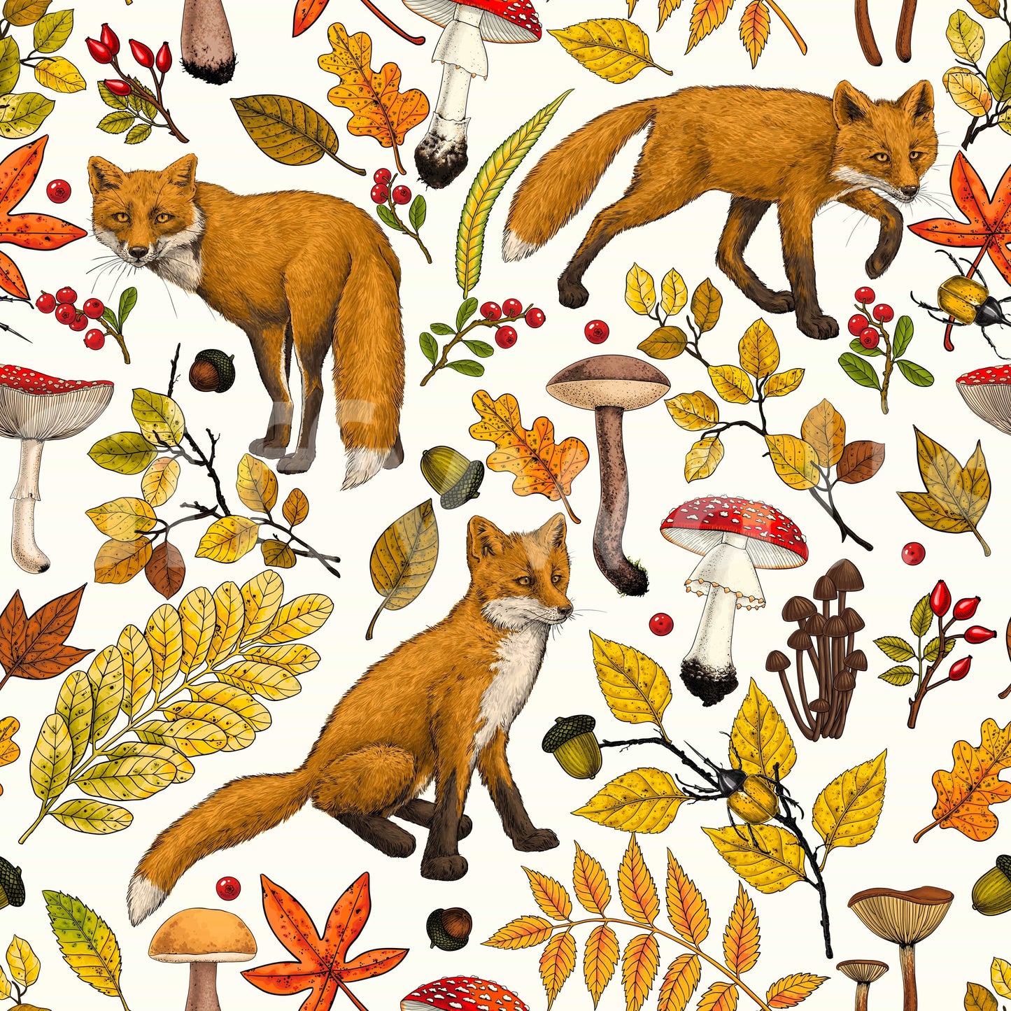 Autumn foxes on natural white Wallpaper⁠