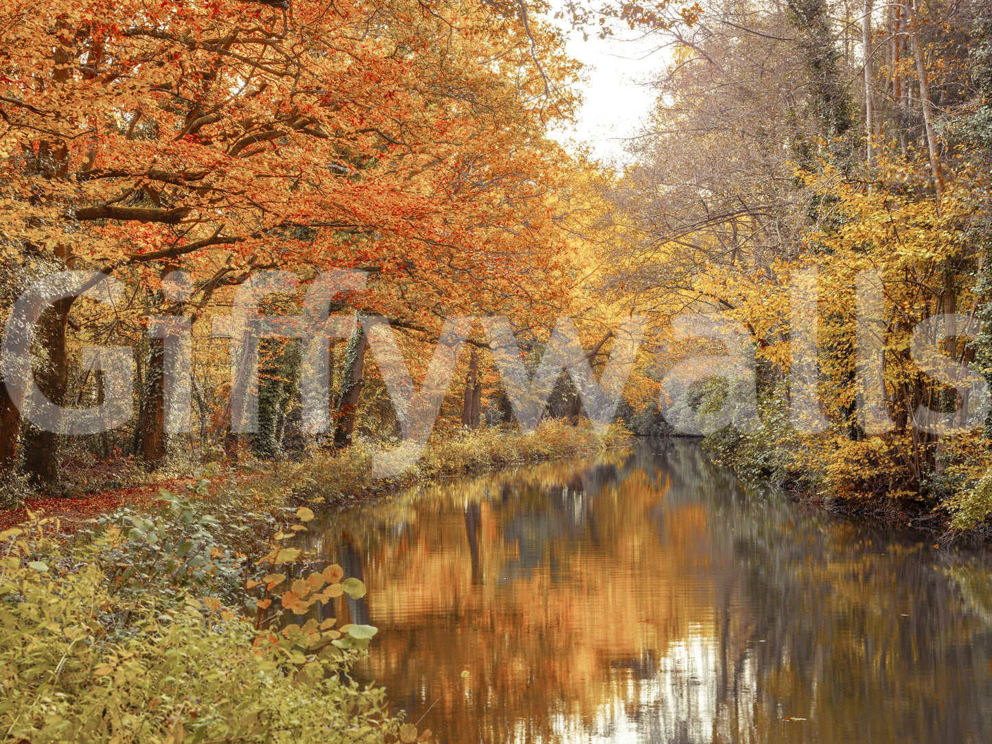 A high-quality minimalist river wall mural for walls.