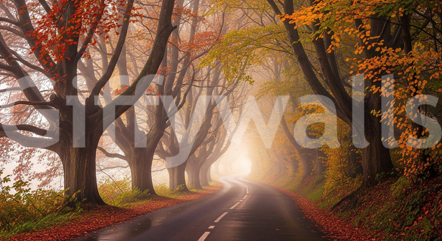 Autumn road mural on stair wall, scenic landscape, warm colours and soft light