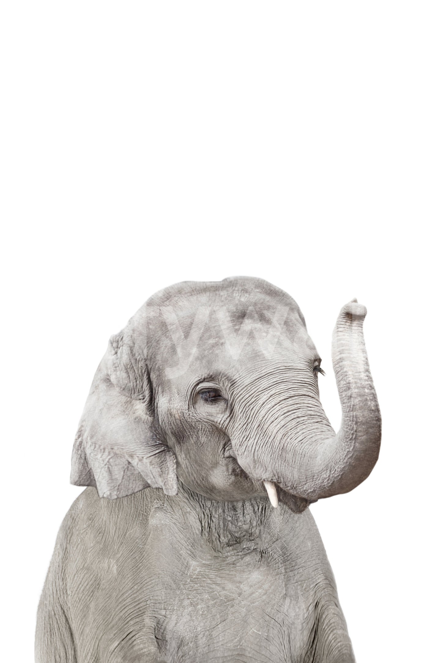Pastel baby elephant wallpaper perfect for nurseries.