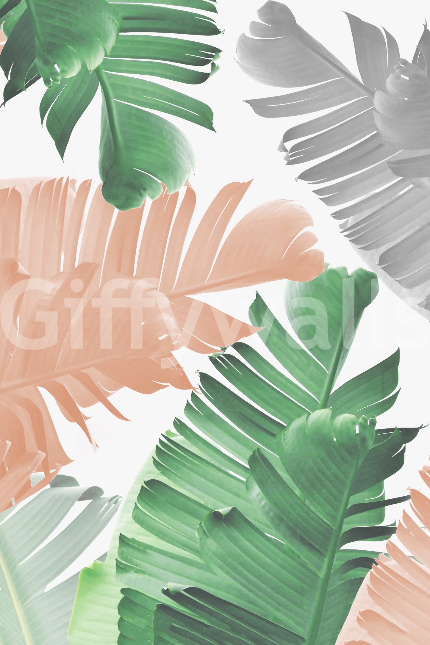 Nature-inspired wall mural for relaxed interiors