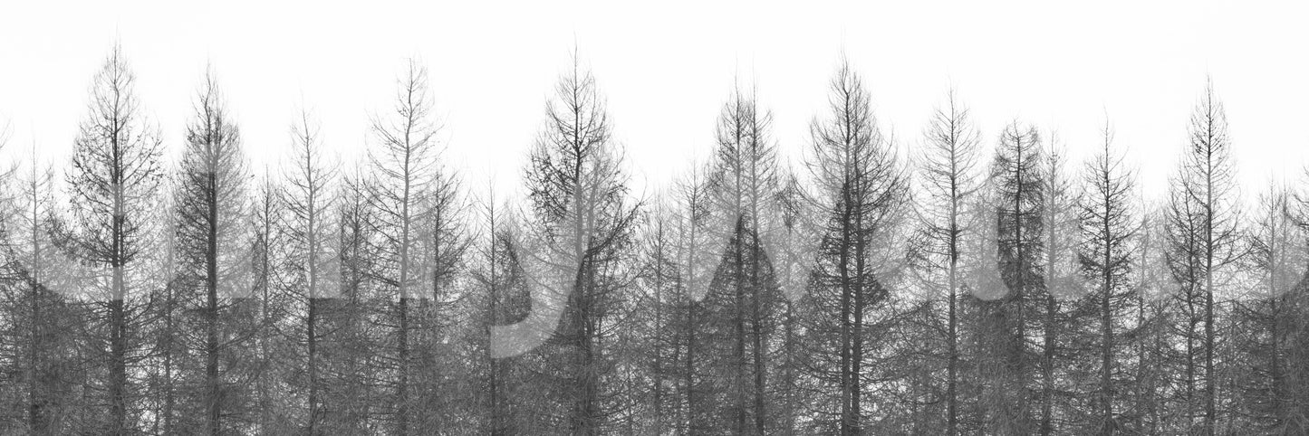 Snowy landscape mural on staircase wall, bright neutral tones, modern wall decor