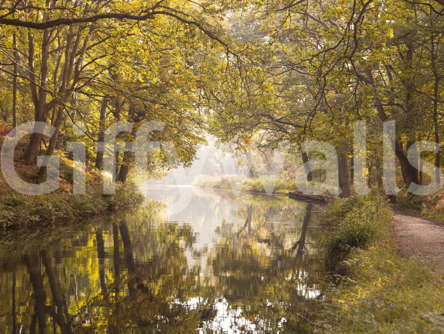 Soft golden foliage canal mural