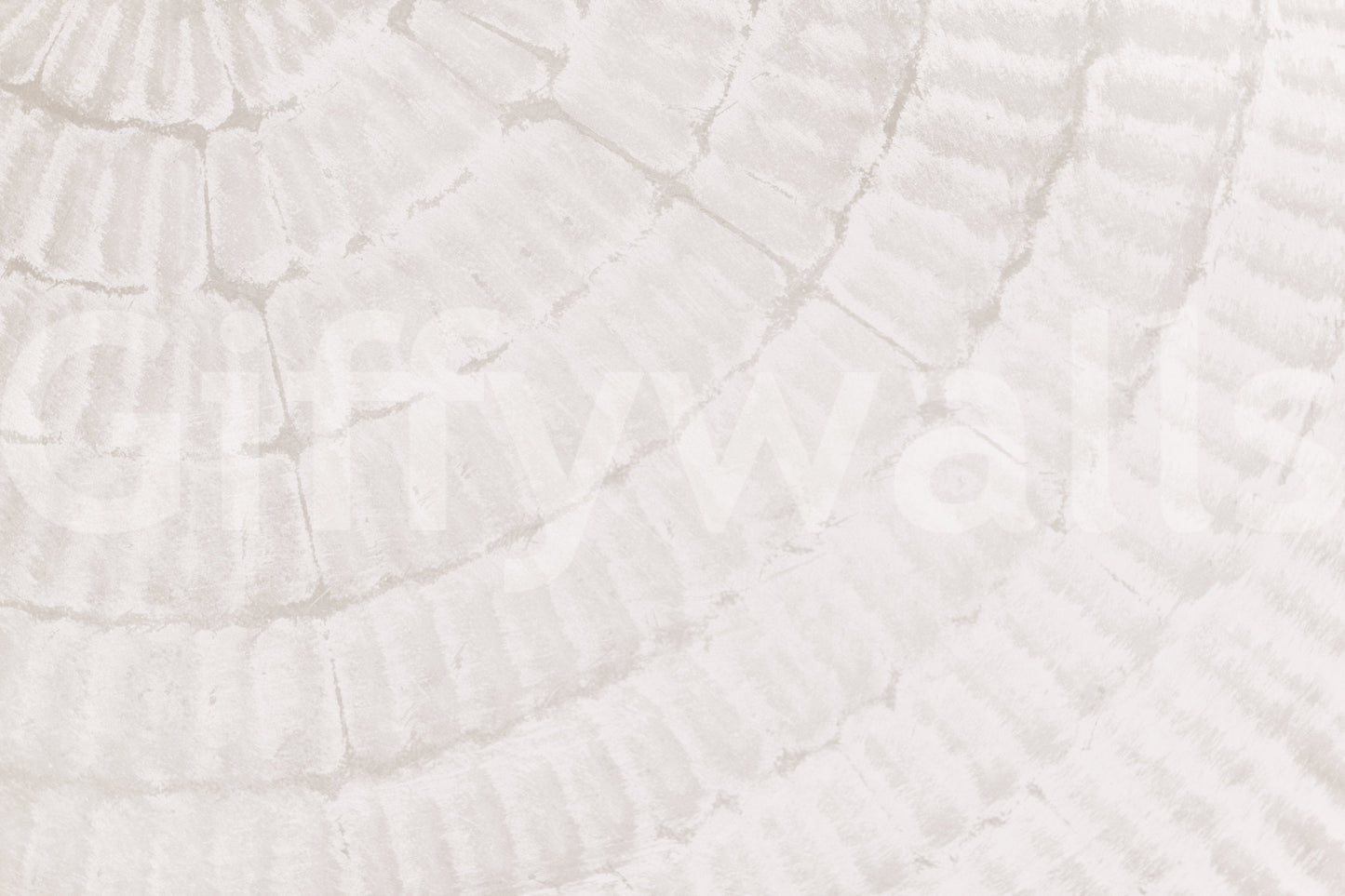 Oyster Shell Echo Wall Mural -2306169