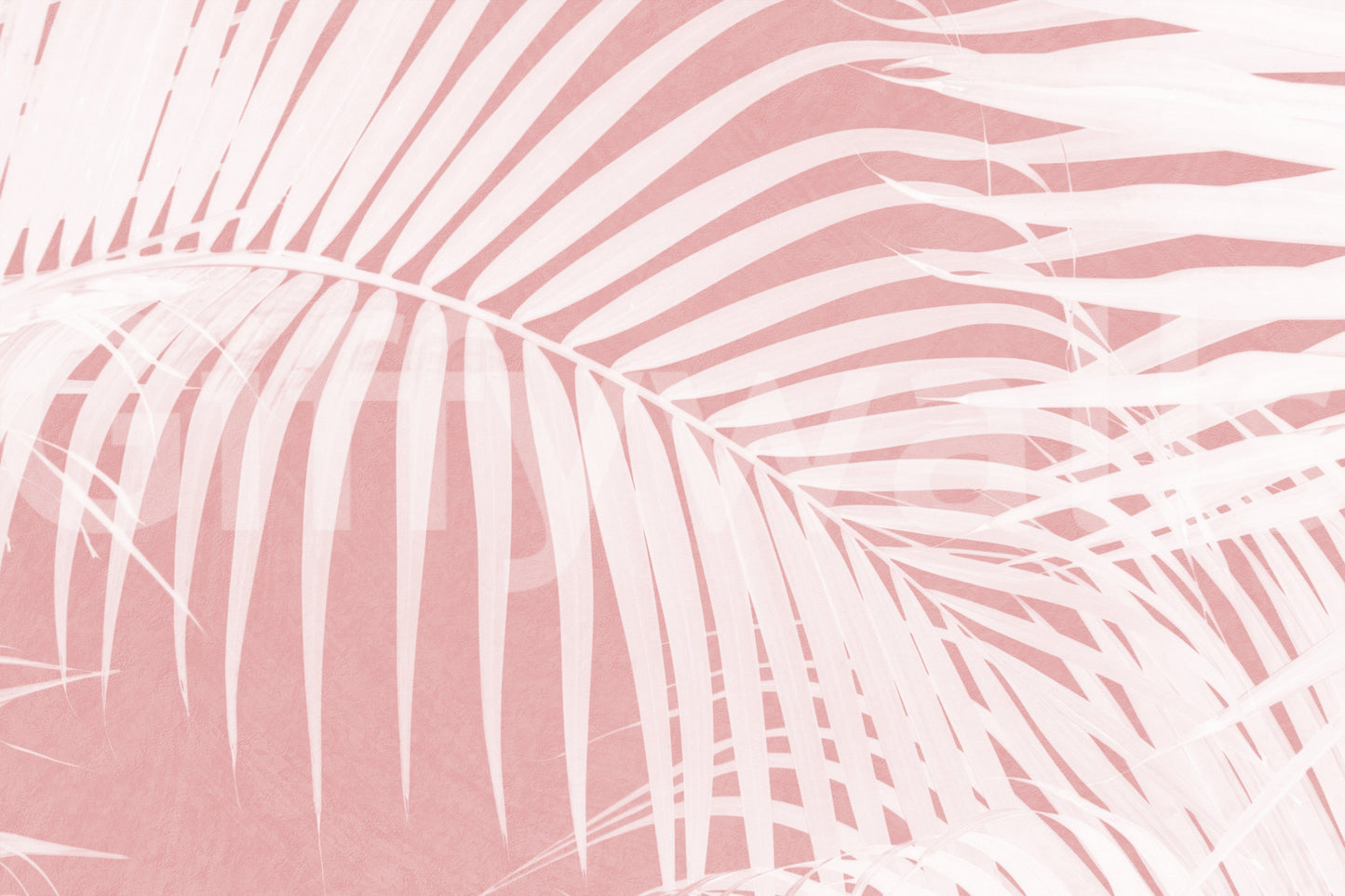 A high-quality serene leaf wall mural for walls.