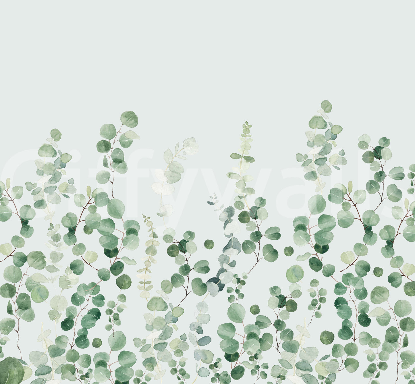 Eucalyptus vægmaleri