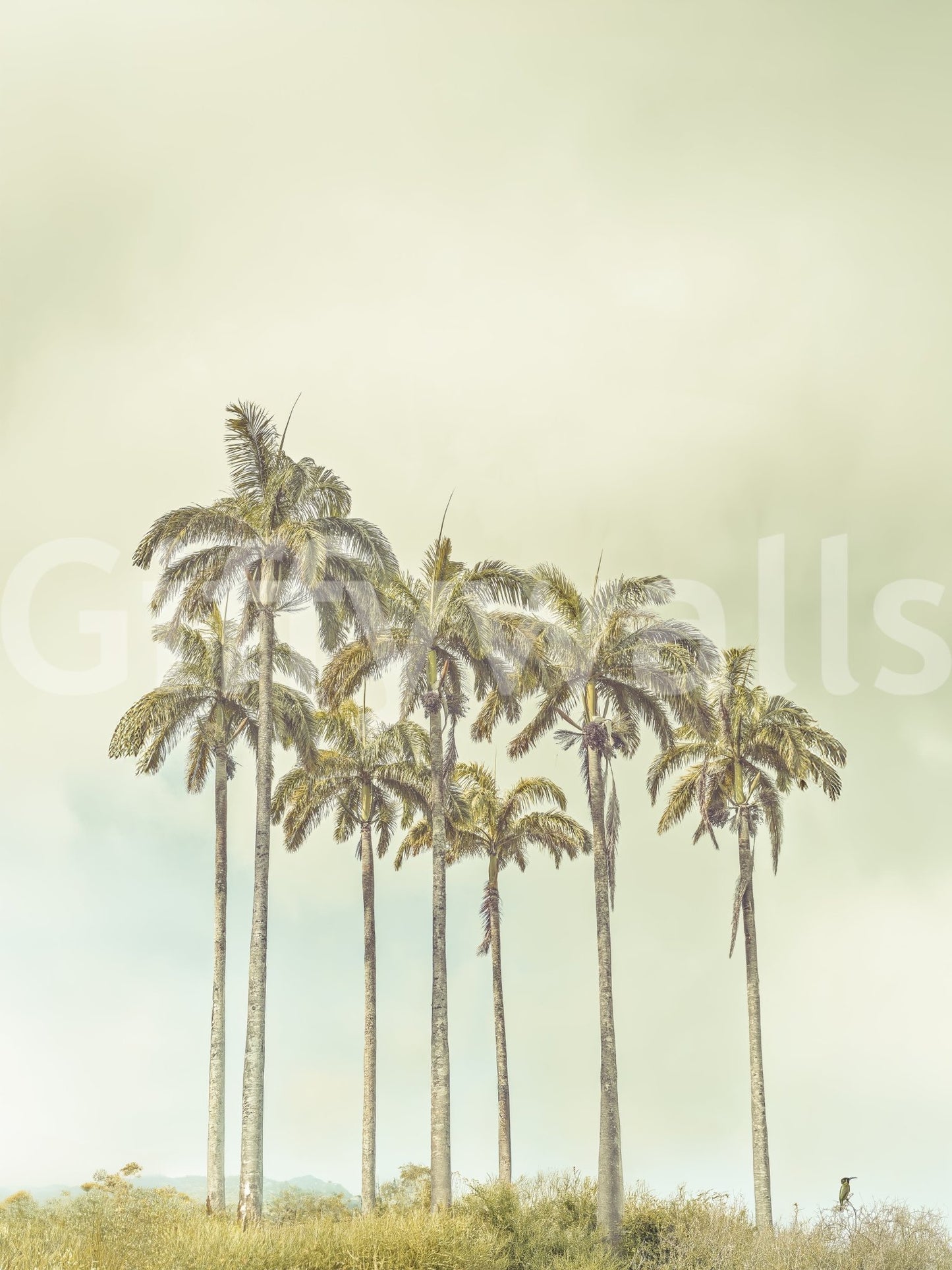 Breezy Palms Wall Mural with pale yellow and beige foliage tones.