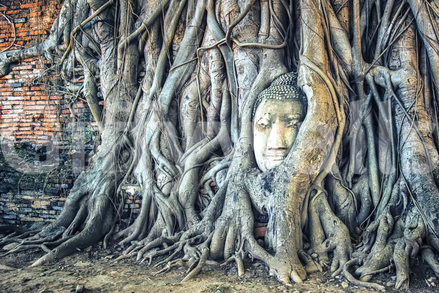 Timeless Harmony botanical embrace of antique masonry and carving.