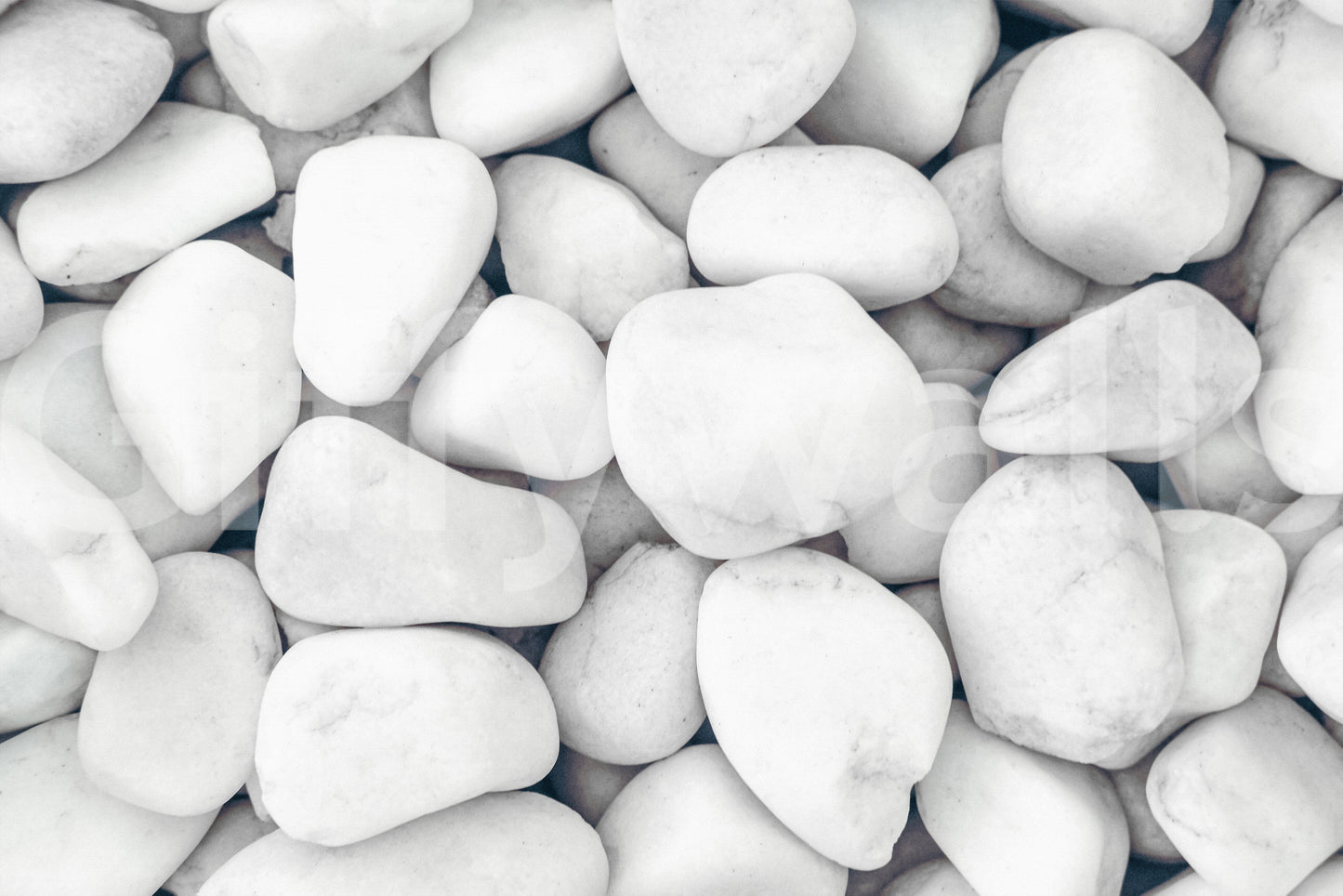 White Pebble Dream Wall Mural -2268938
