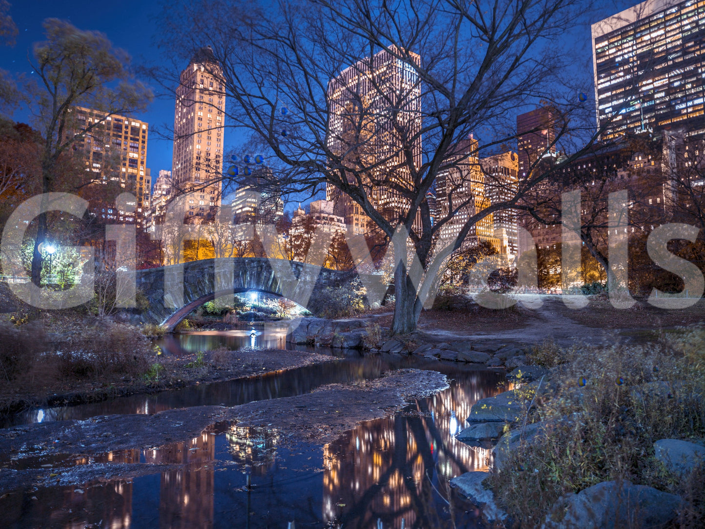 Stone arch over creek Central Park at Night wall art