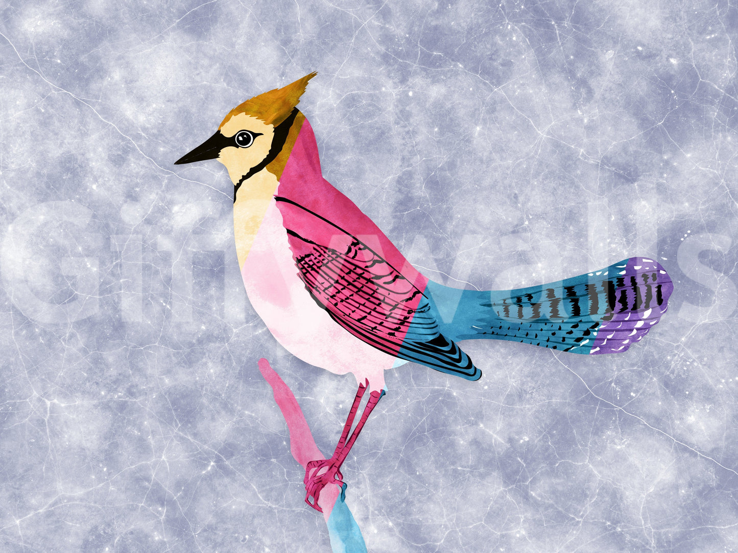 Colorful Jay Wall Mural