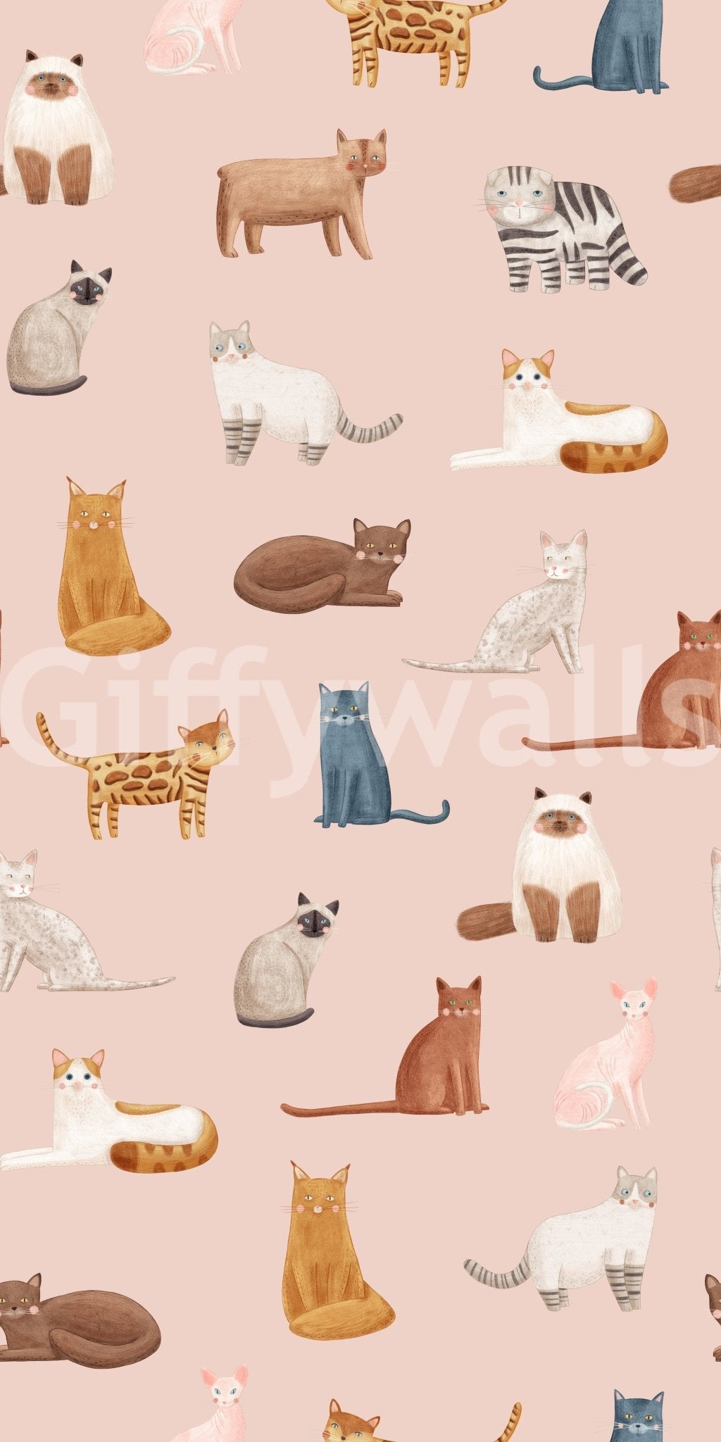 Cool Cats in Pink Wallpaper
