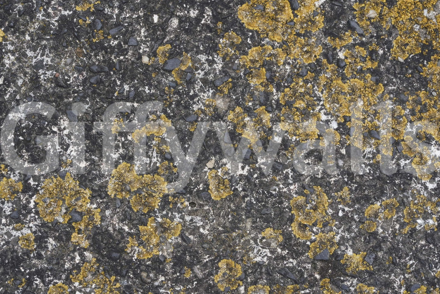 Cracked Stone Wall Mural -2566609