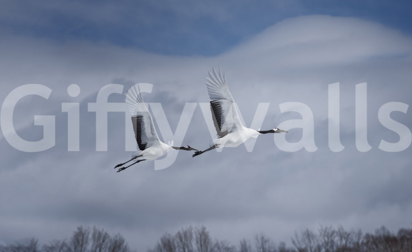 Workspace wall mural with cranes flying, soft background colors, modern apartment office