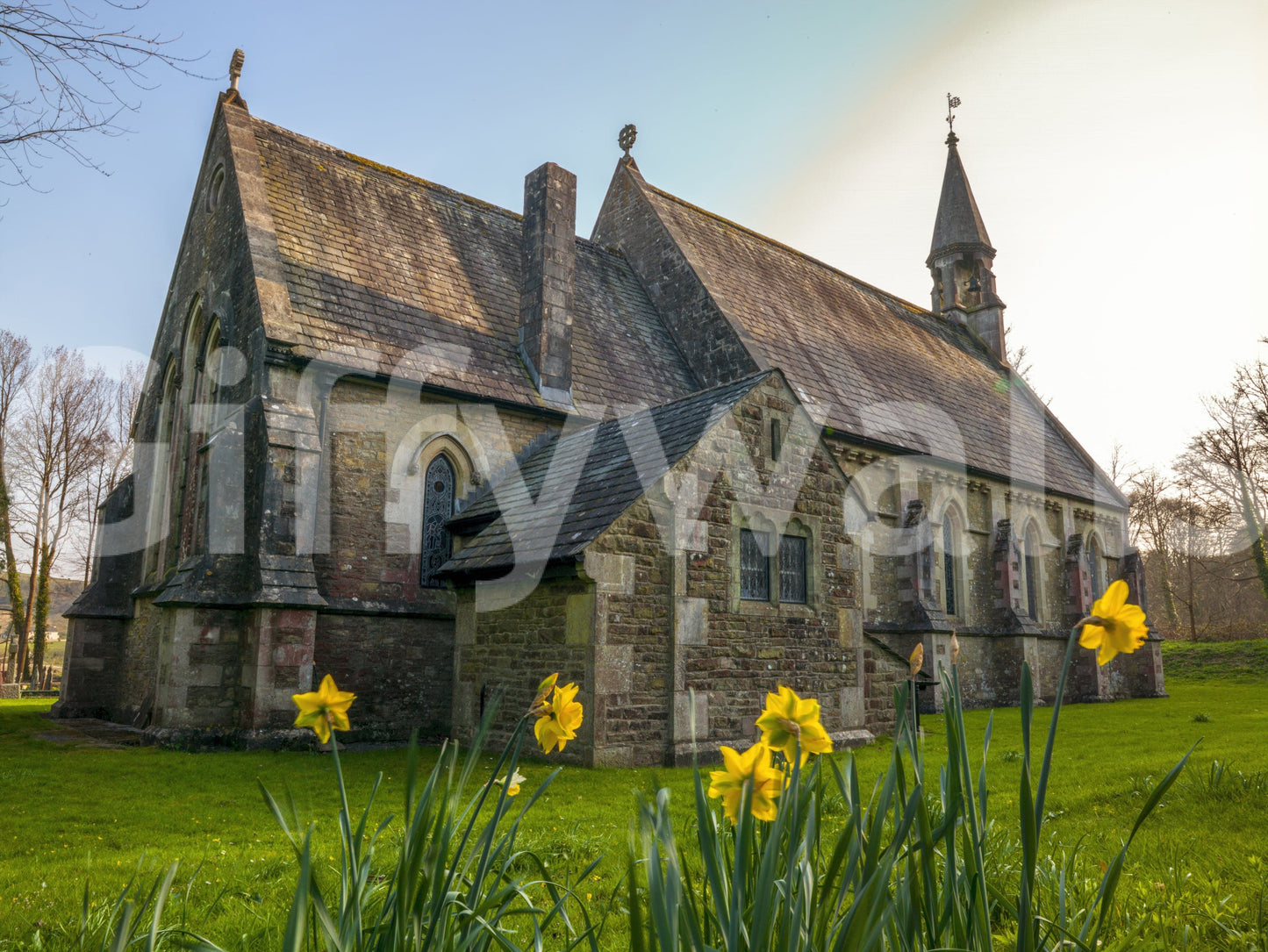 Serene religious building background on Golden Daffodils wall mural with fresh petals.