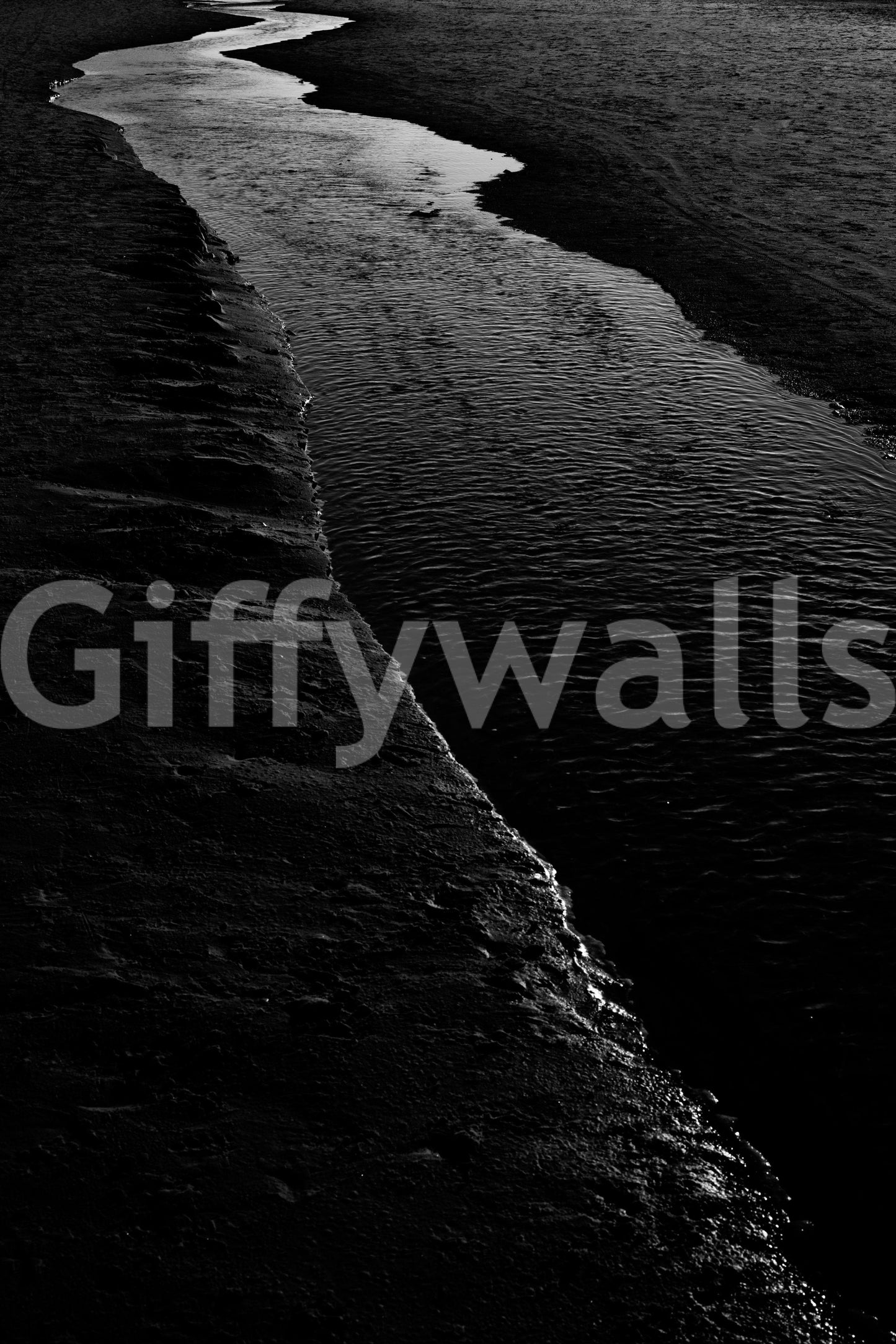 Dark River I Wall Mural