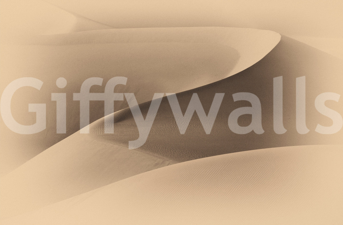 Desertscape Wall Mural -2310080