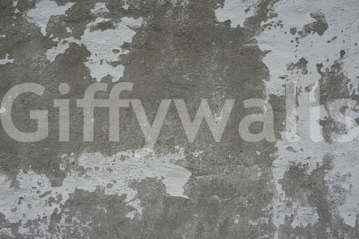 Distressed Concrete Wall Mural -2566584