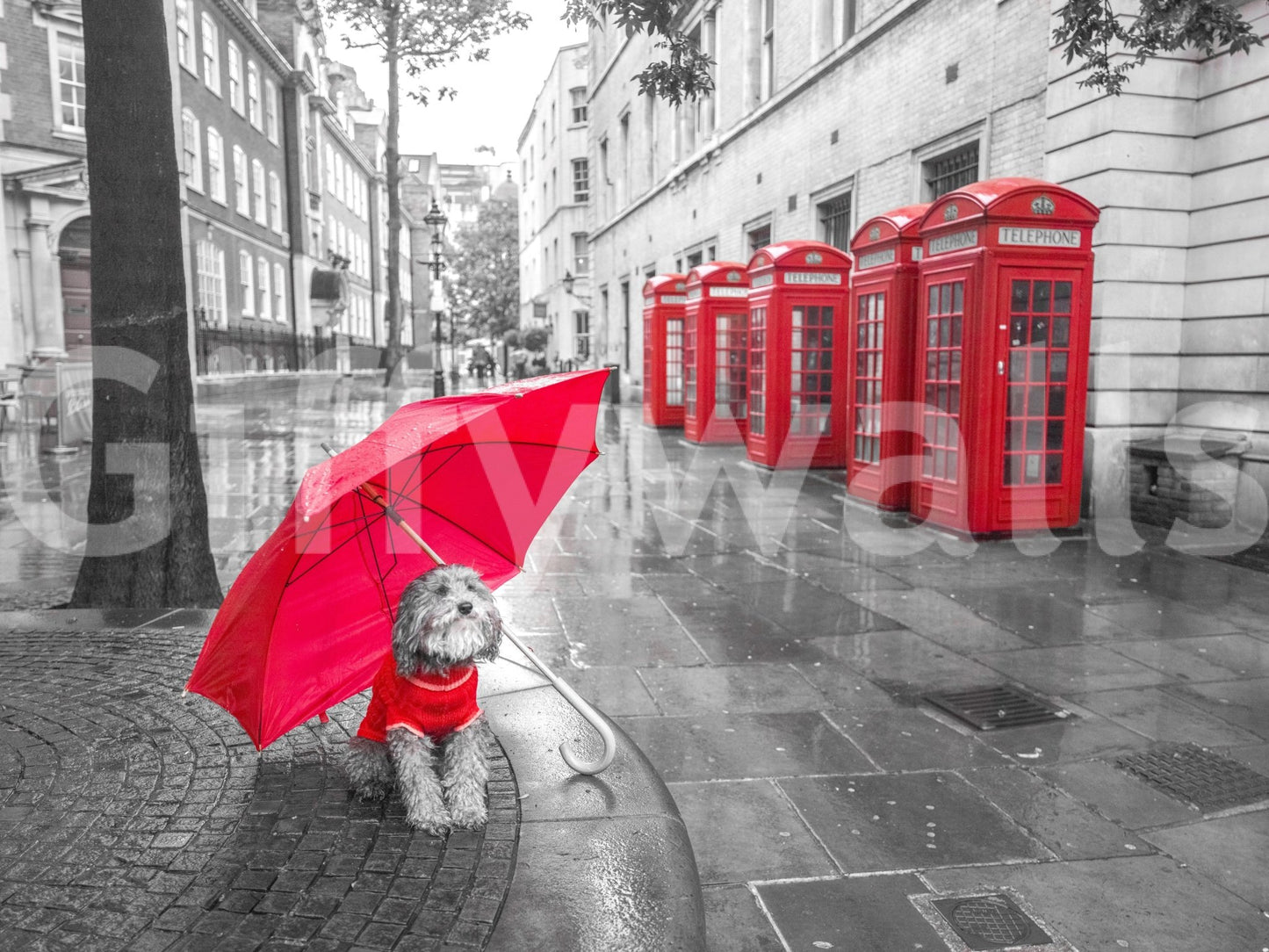 Trees and lampposts in the background.