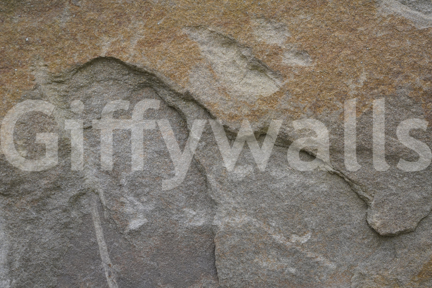 Eroded Rock Face Wall Mural -2566610