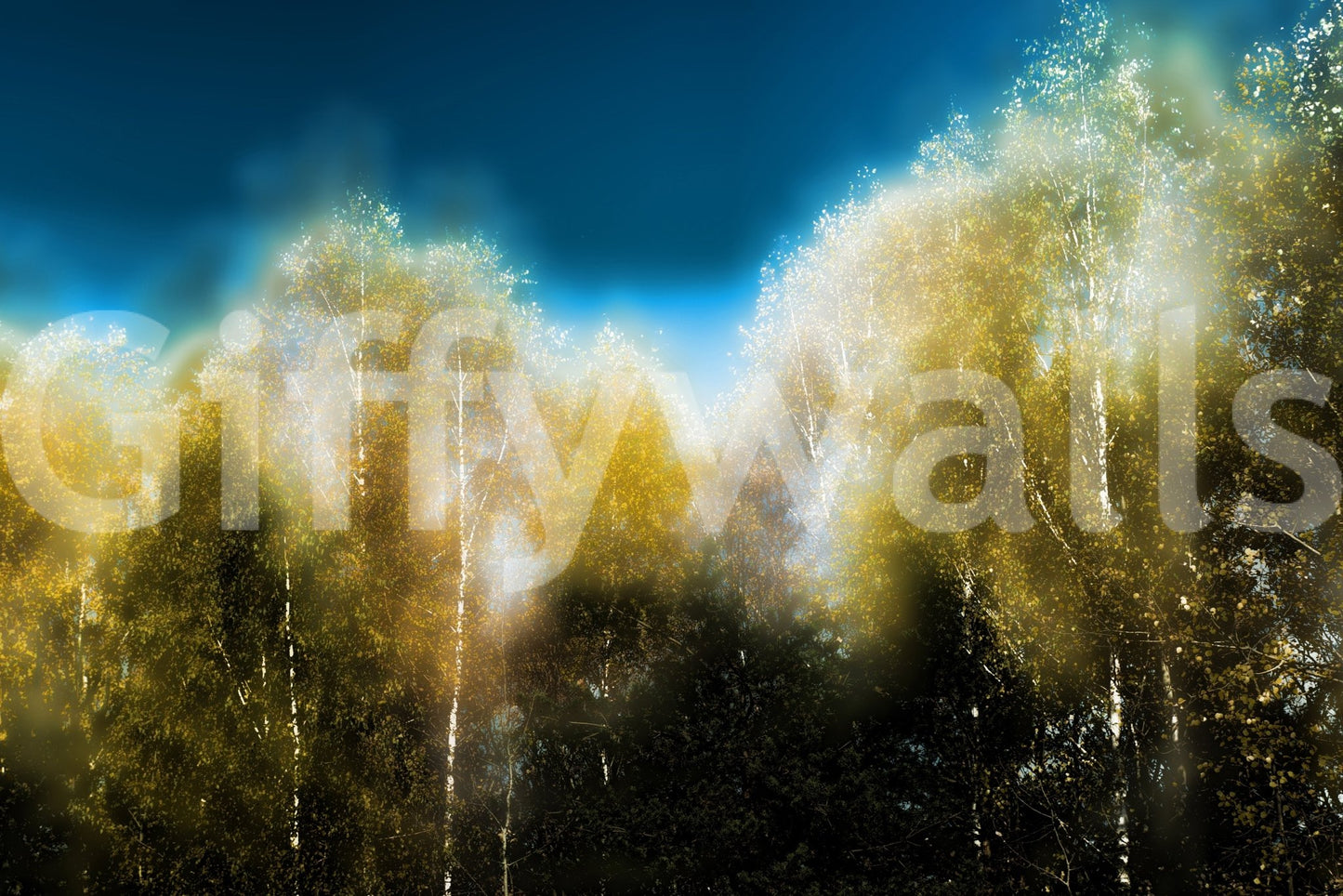 Misty or atmospheric effects in the forest.