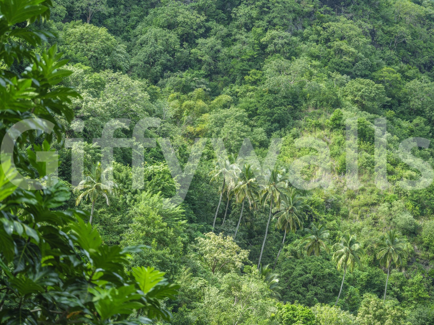 Evergreen Forest mural for a bedroom.