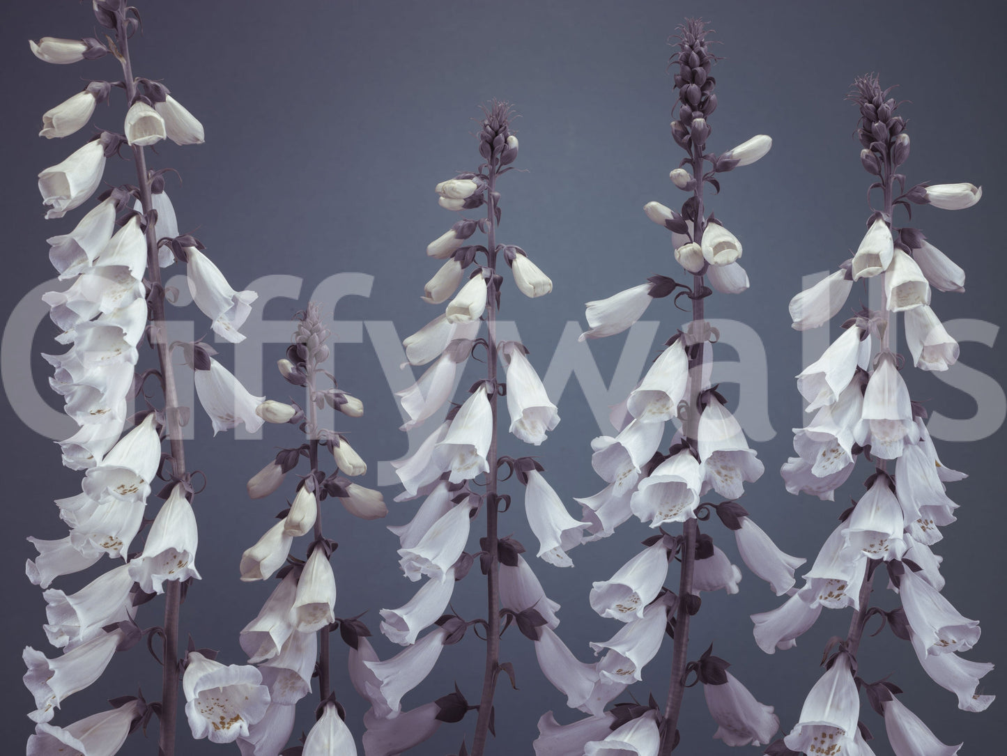 High resolution botanical study wallpaper, fantasy flower towers.