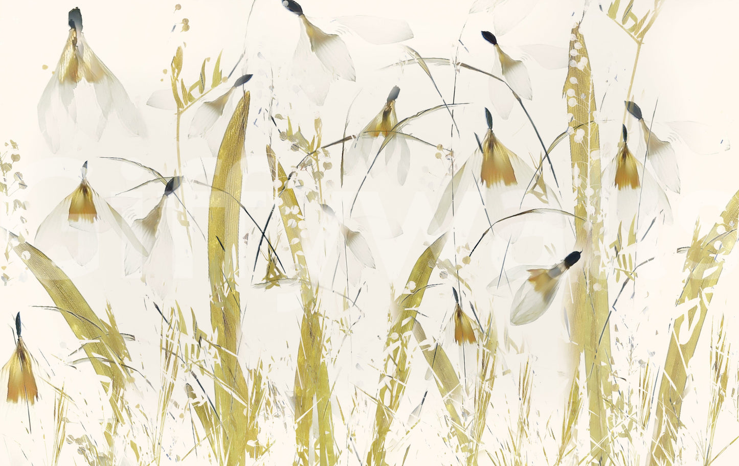 A high-quality serene minimalist wall mural for walls.