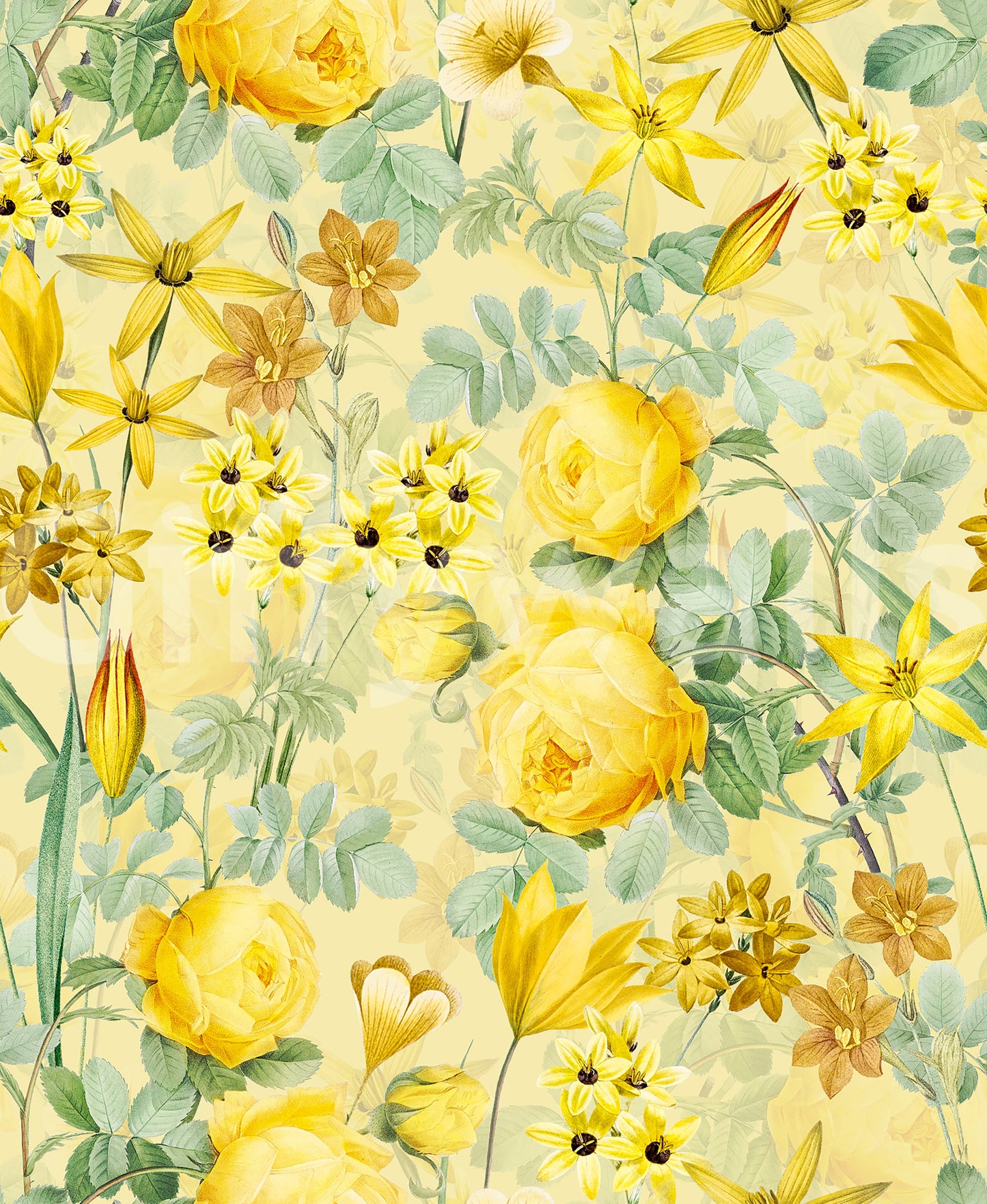 Golden hour rose blooms mural behind the bed