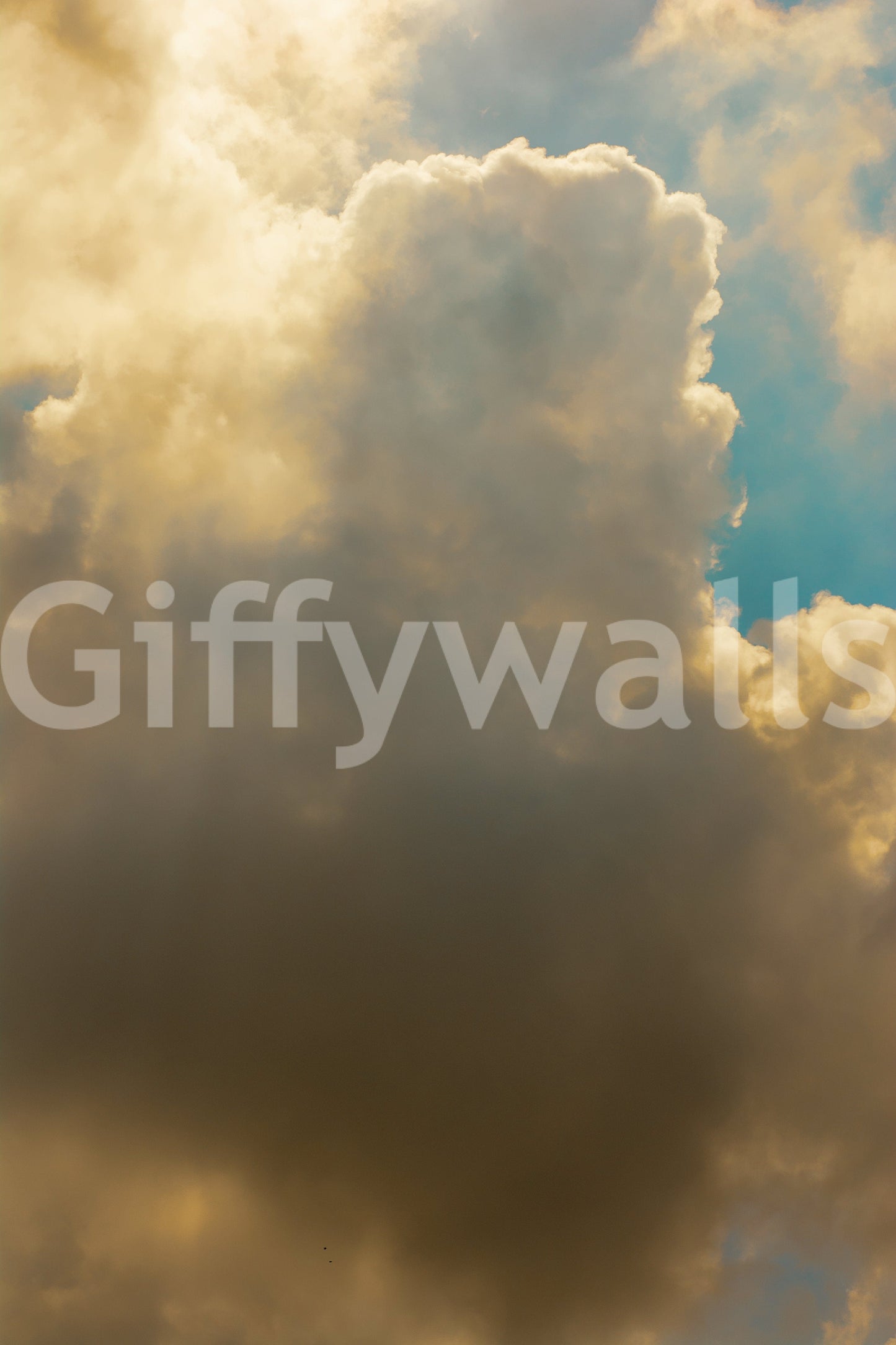 A high-quality abstract sky wall mural for walls.