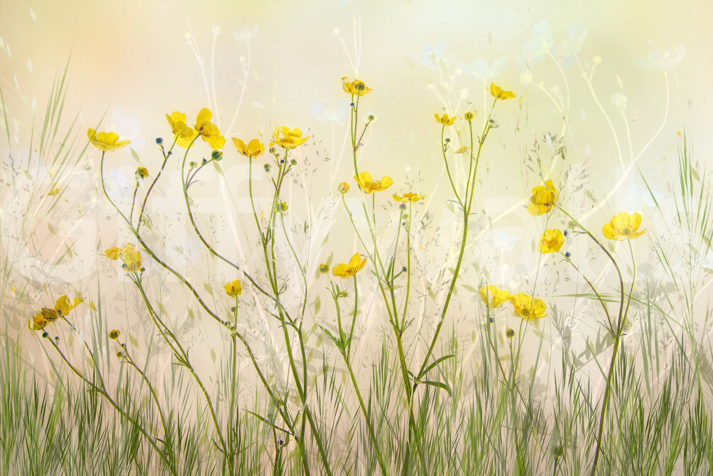 A high-quality rustic wall mural for walls.