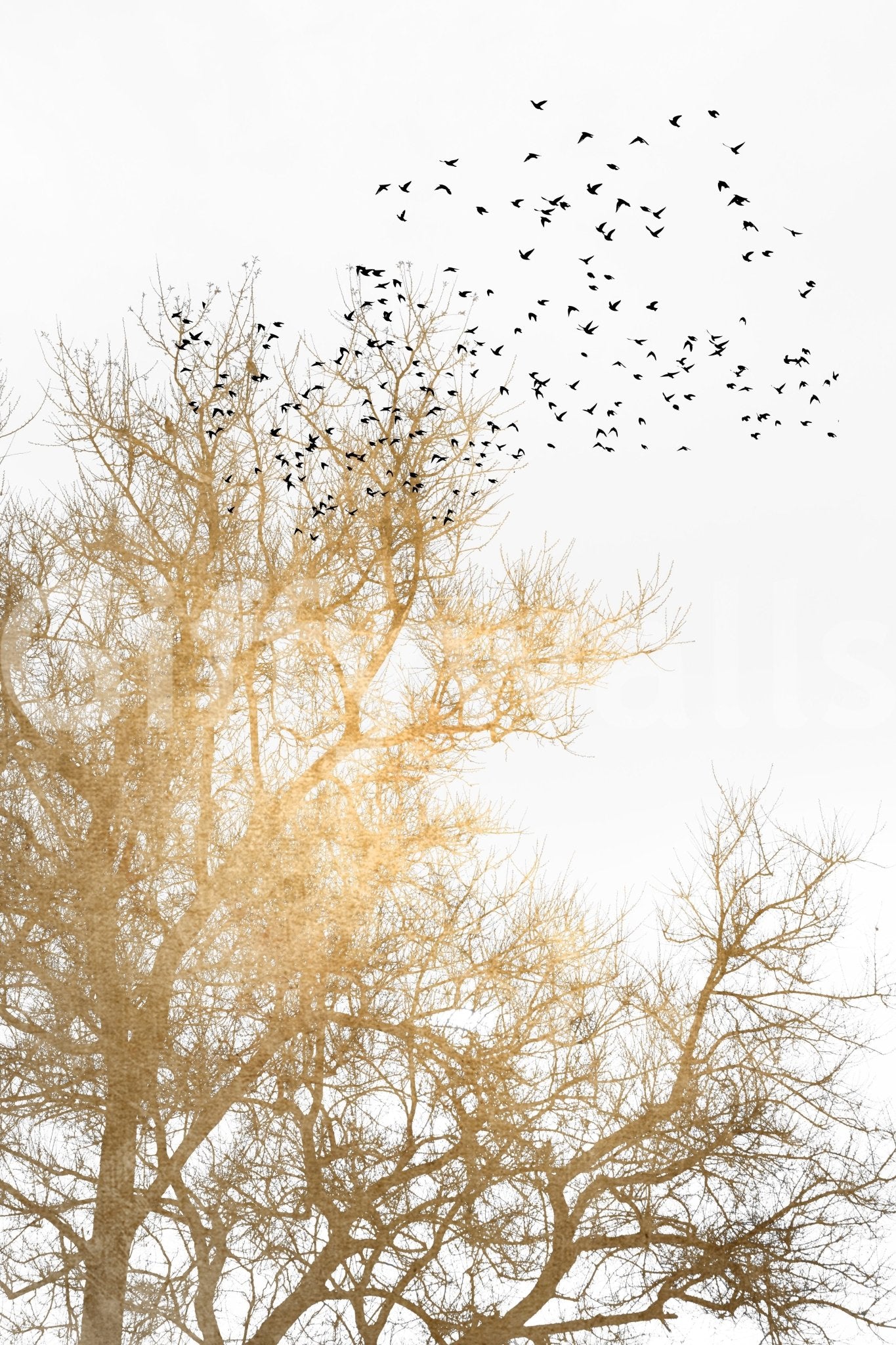 Suitable for a calming, inspirational, or modern interior.