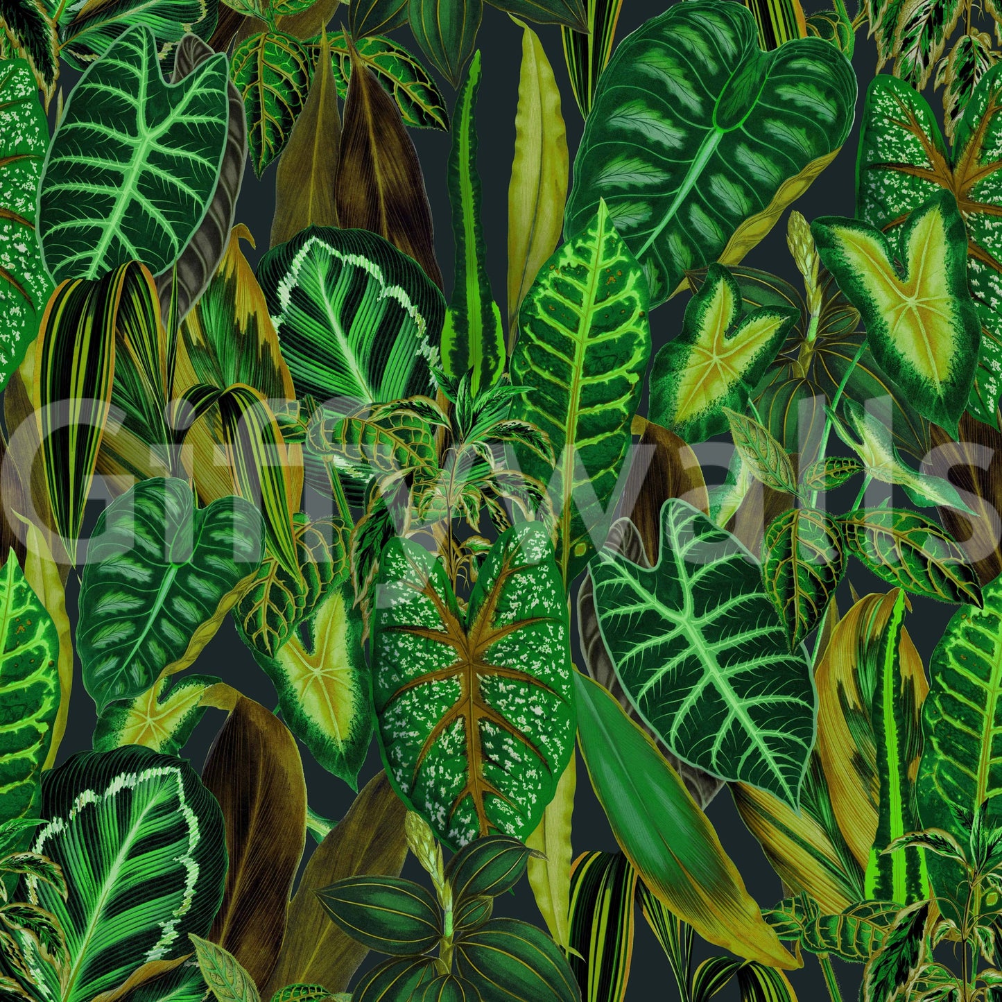 Green Exotic Foliage tasteful wallpaper