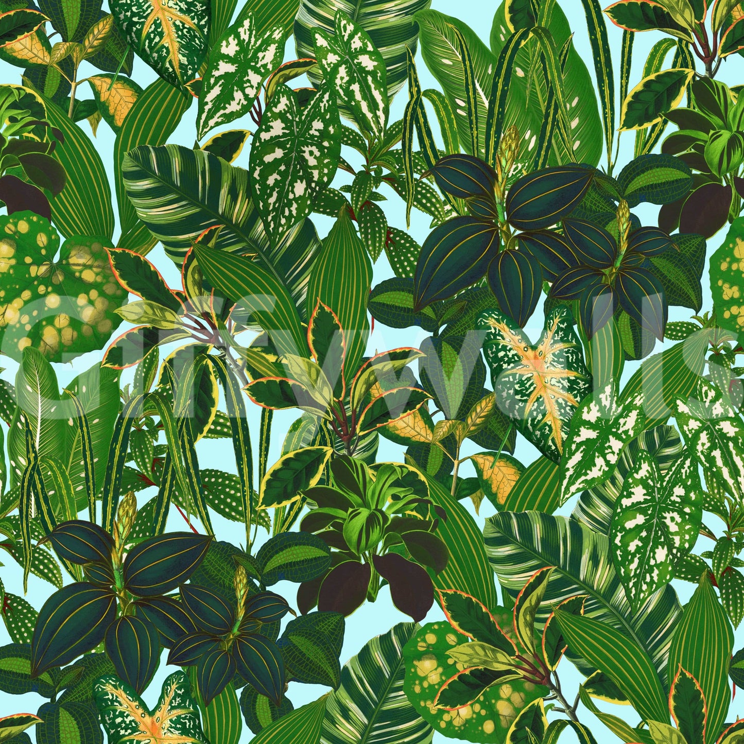 A seamless pattern of tropical plants on a wall