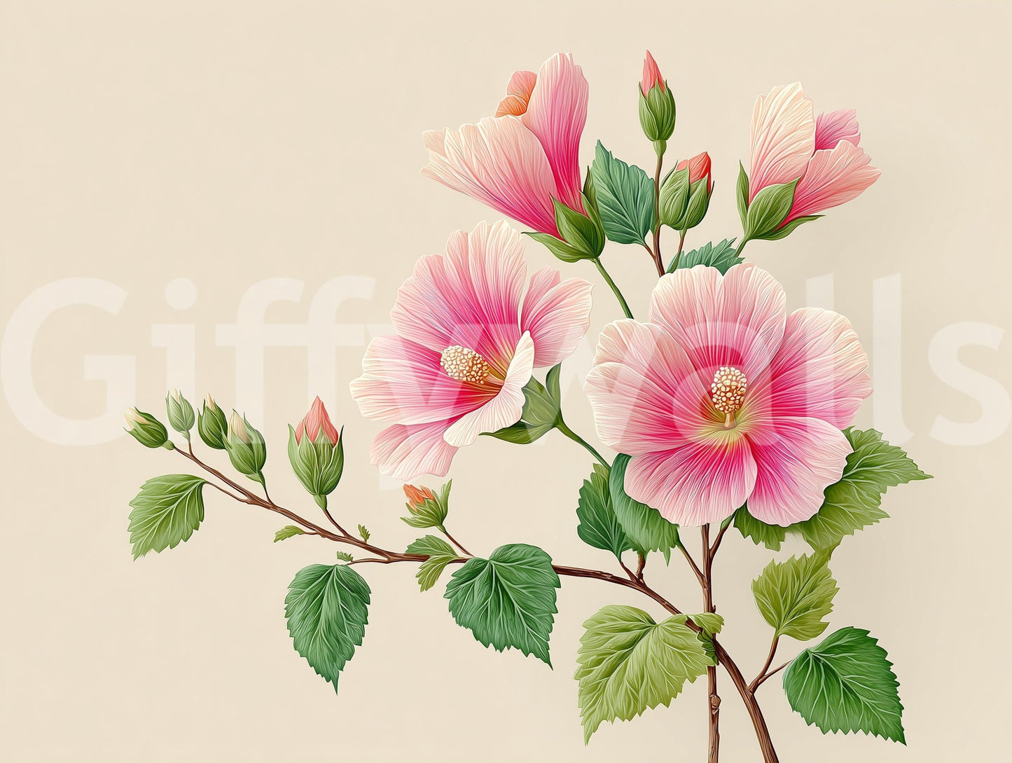 hibiscus flowers with a soft background