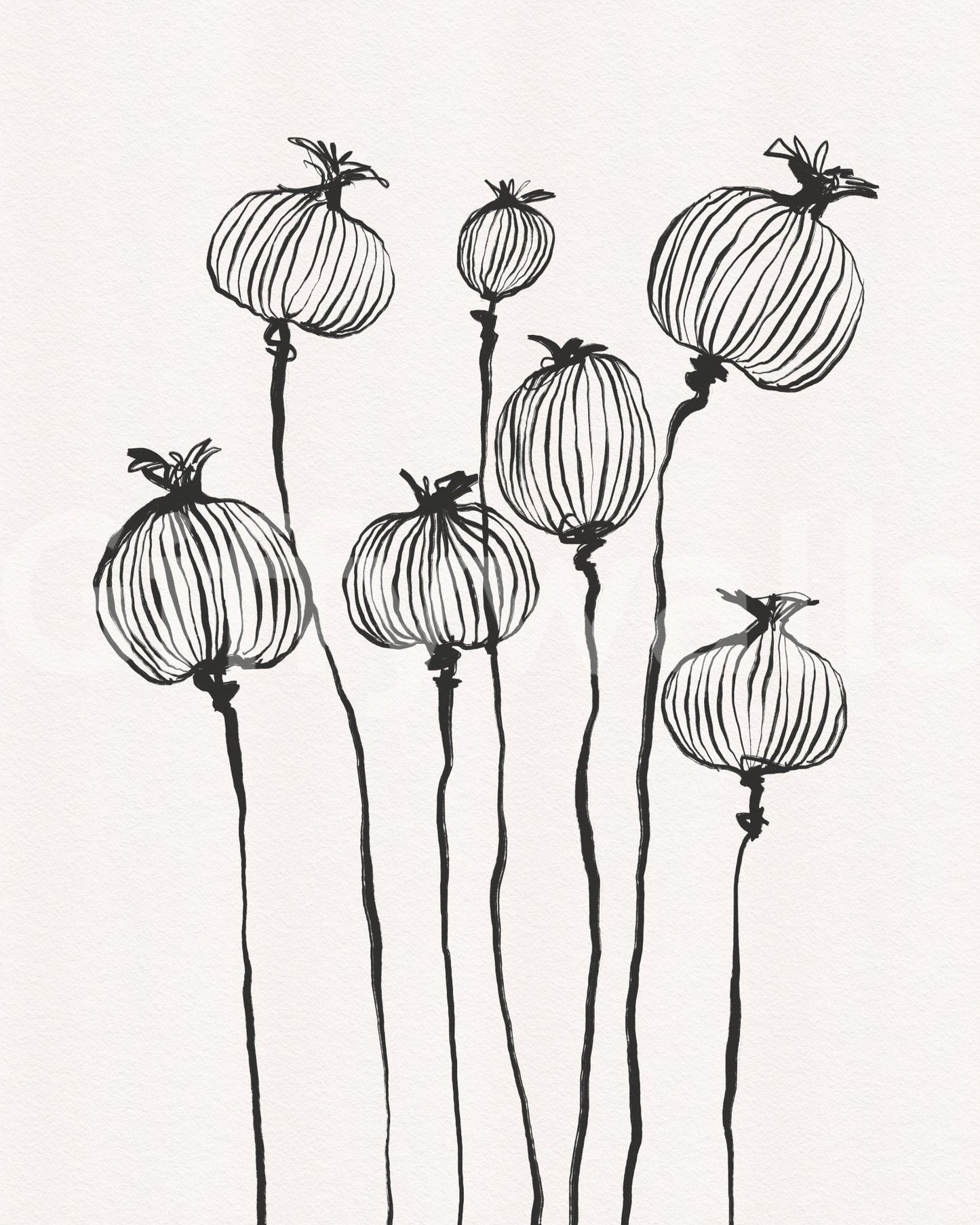 Ink Poppy Pods Wall Mural