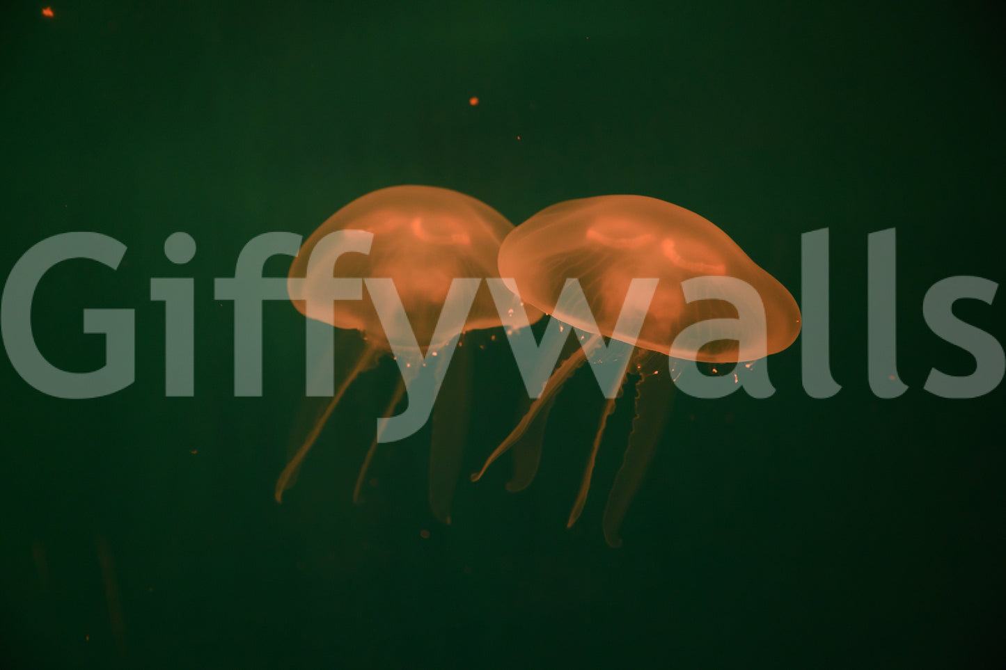 A high-quality marine theme wall mural for walls.