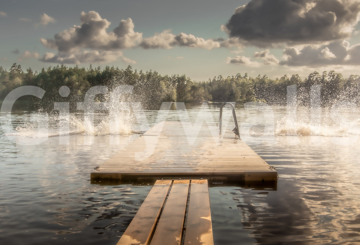 Fresque murale Lake Jump! -2221045