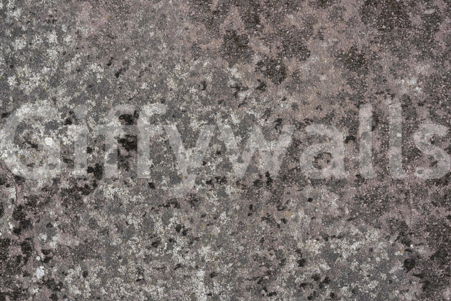 Fresque murale Lichen Bloom -2566617