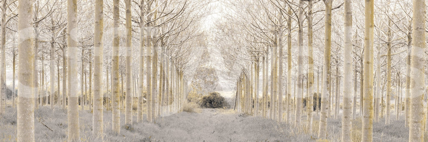 clean and simple nature wallpaper