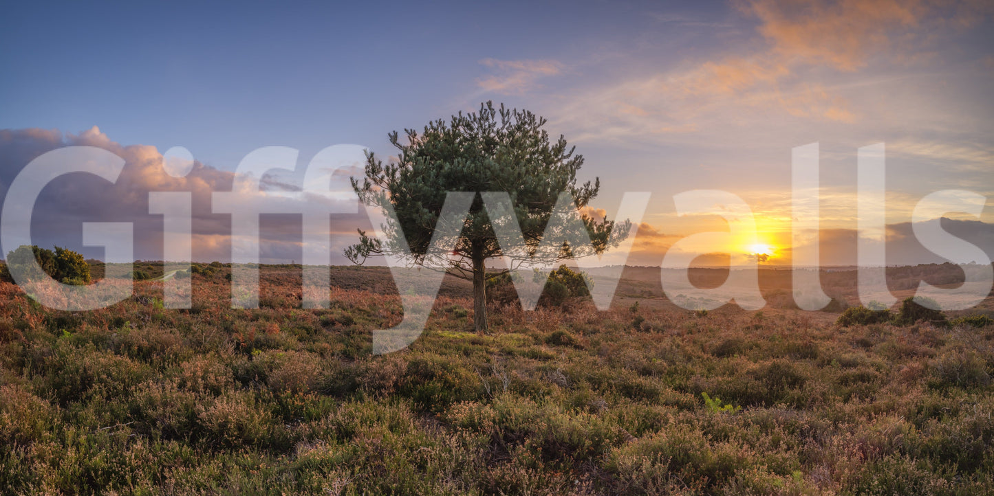 A detail of the brushstrokes and tones in the design.