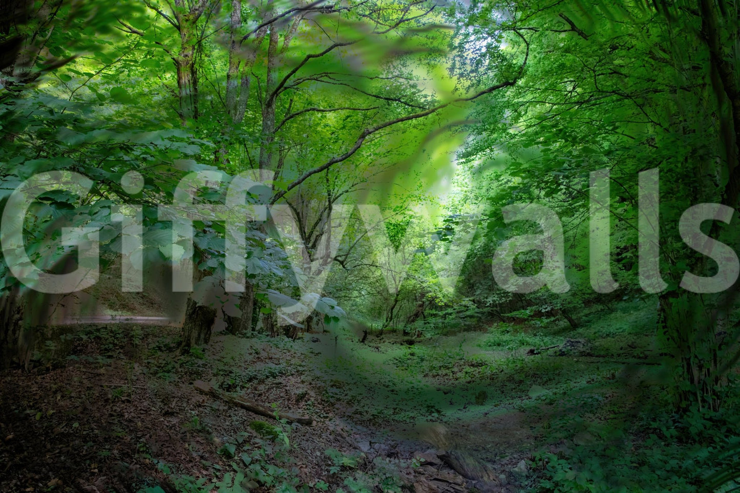 Soft light through trees mural