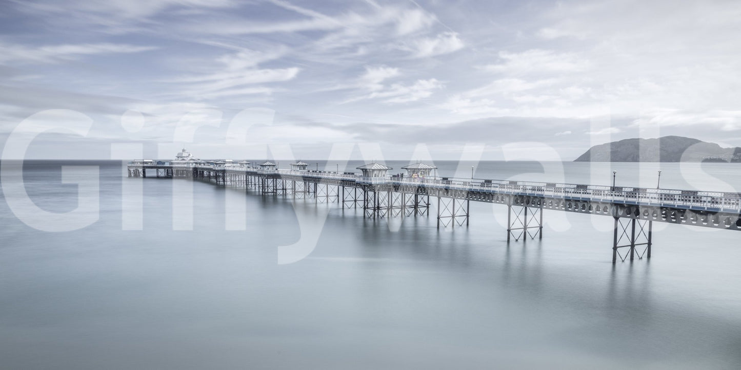 The wallpaper features a subtle, calming pattern.