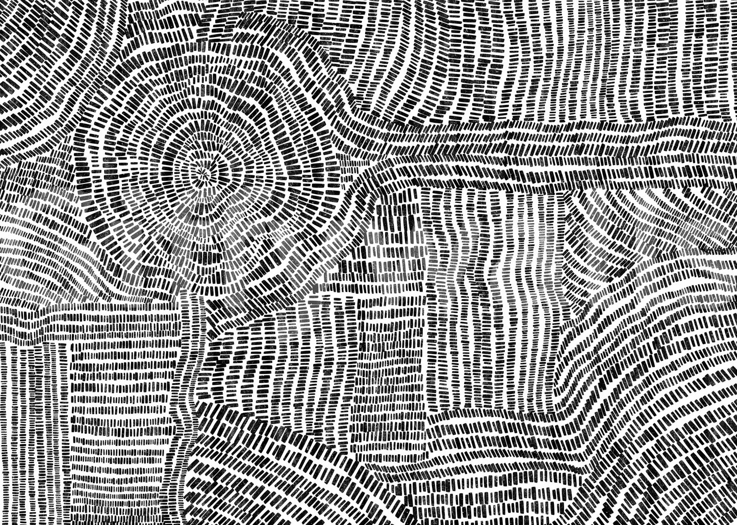 Fresque murale Dash & Dot Maze