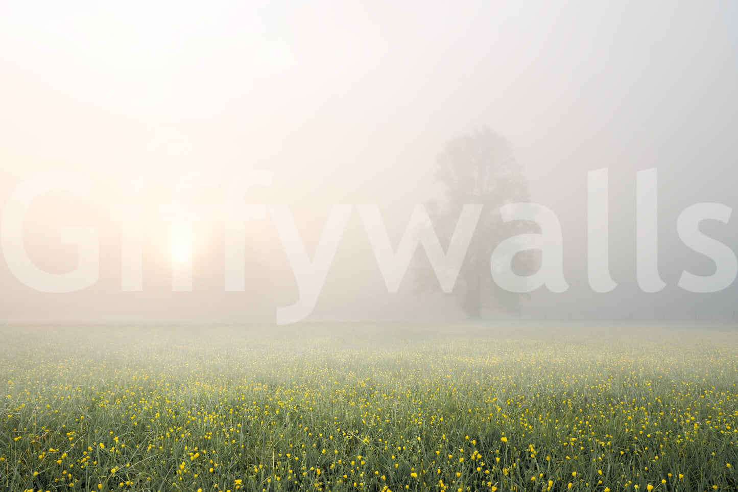Misty Meadow Bloom Wall Mural -2262314