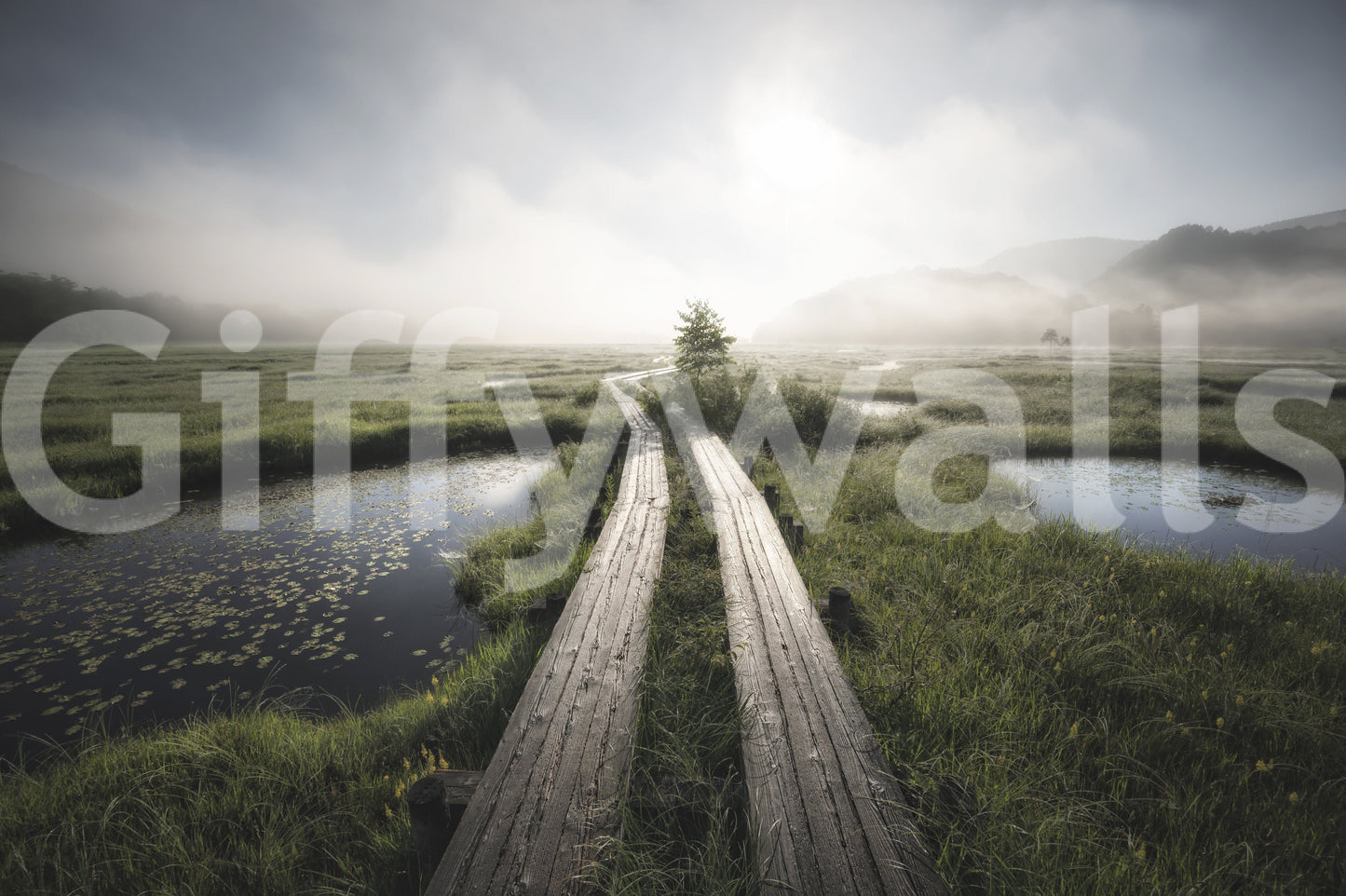 Ethereal Path Wall Mural -2284946