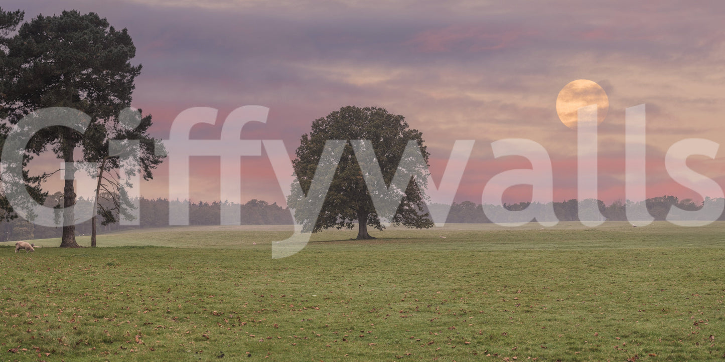 A high-quality minimalist tree wall mural for walls.